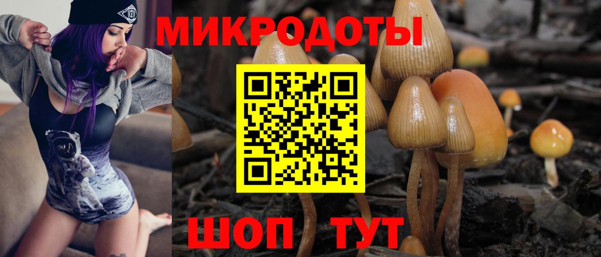 Иркутск  Галлюциногенные грибы прущие грибы  сколько стоит  Вход с VPN 